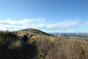 Hike the Pineapple Track 