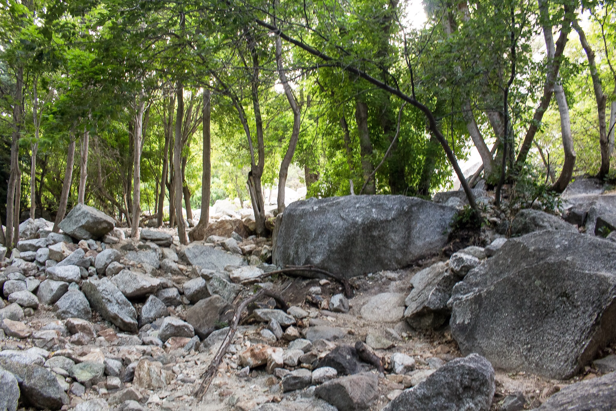 Explore Little Cottonwood Canyon's Lisa Falls