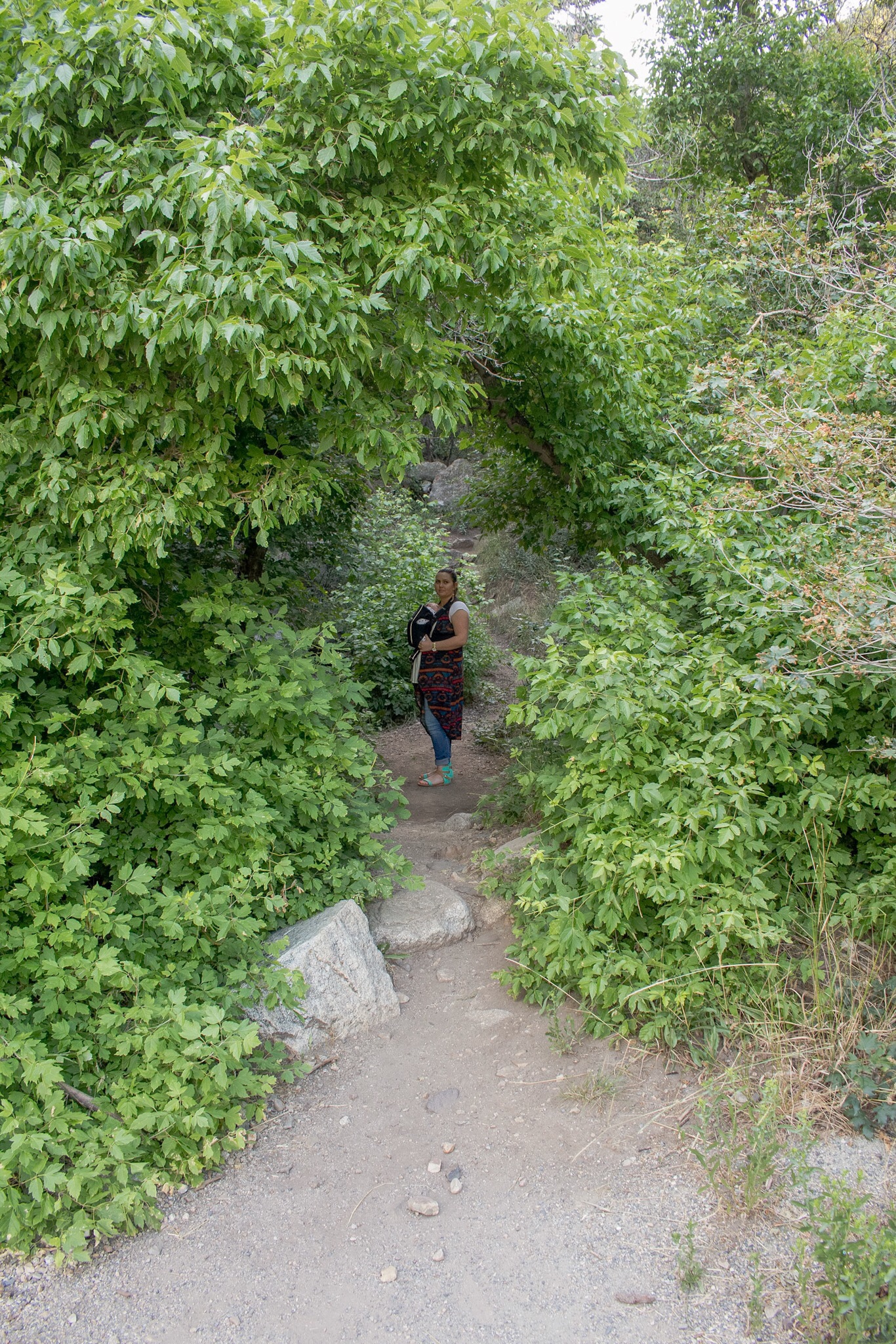 Explore Little Cottonwood Canyon's Lisa Falls