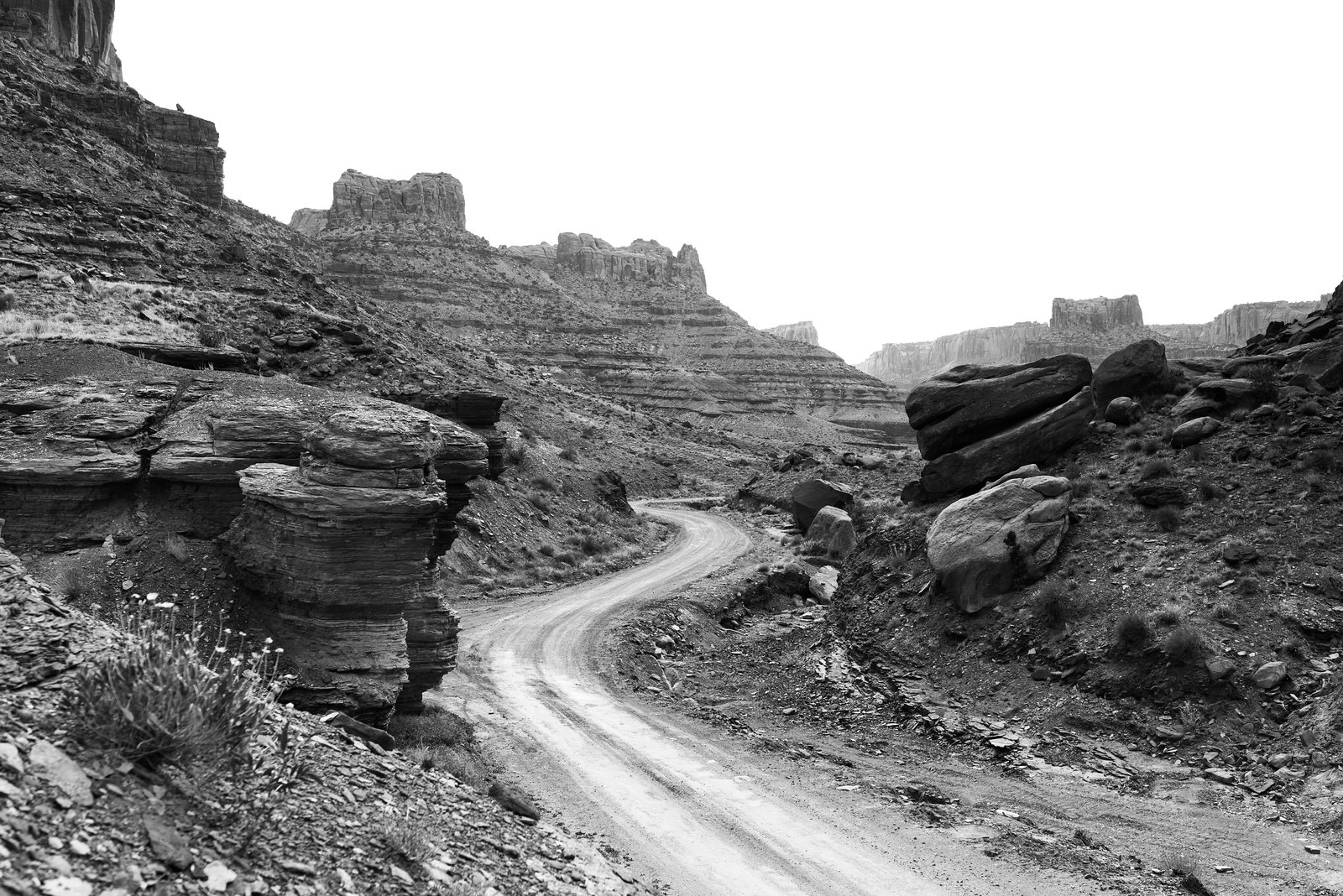 Camp at Long Canyon