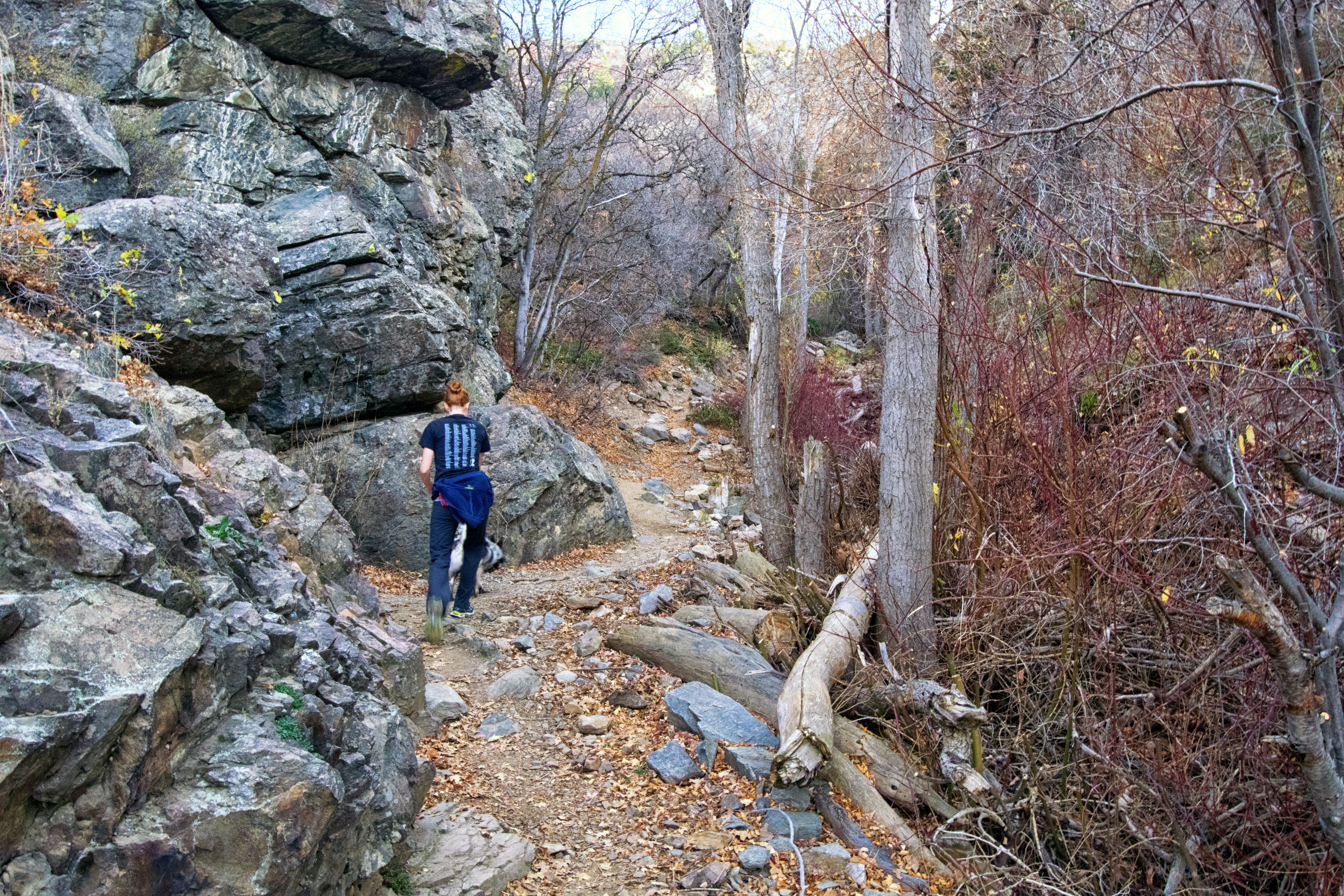 Waterfall Canyon