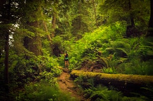 Thru-Run the Juan de Fuca Trail