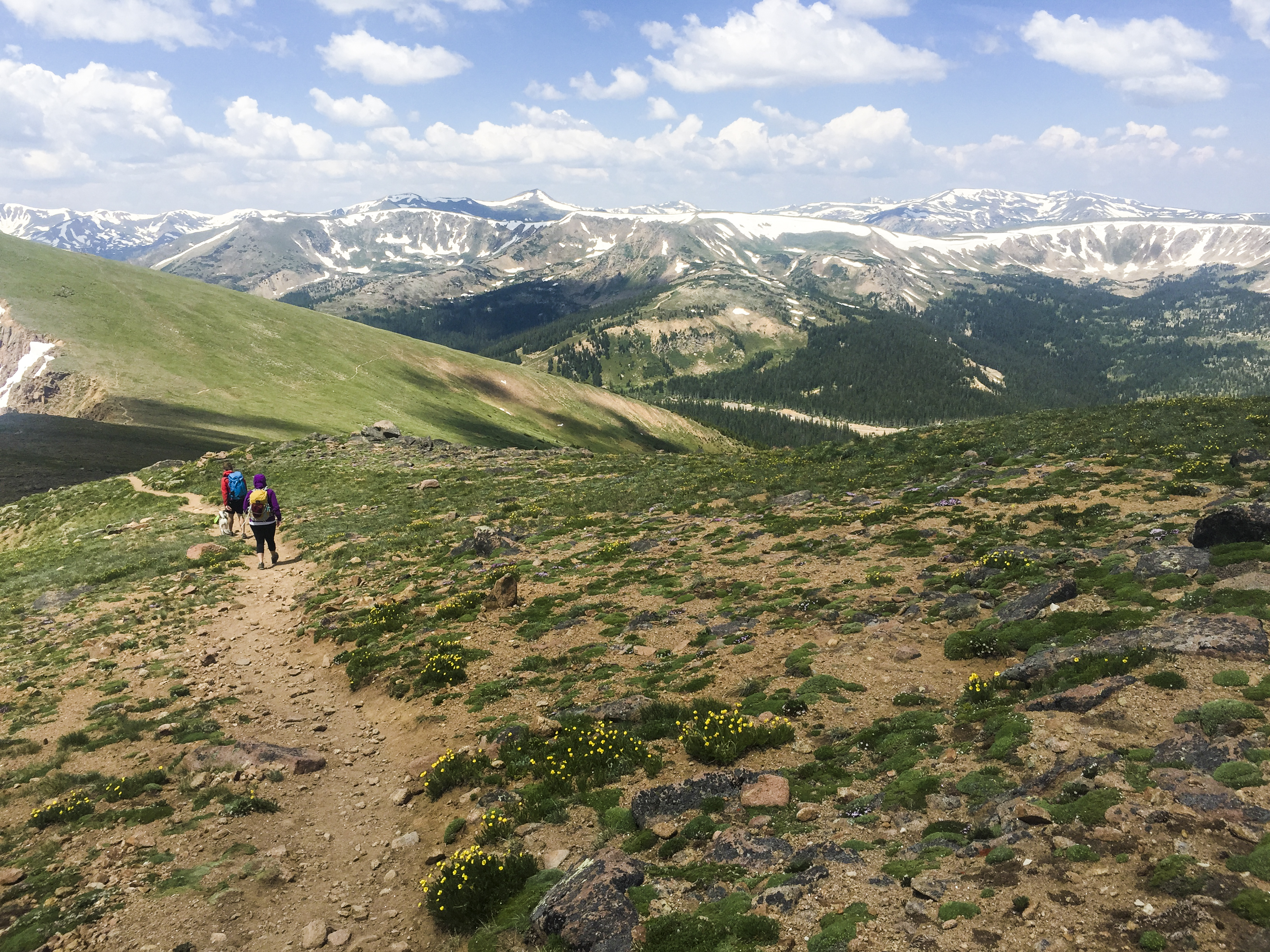 Mount Flora