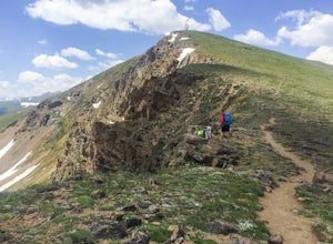 Summit Mount Flora