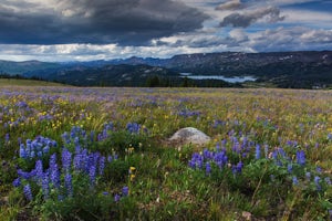 Camp on the Clarks Fork of the Yellowstone River