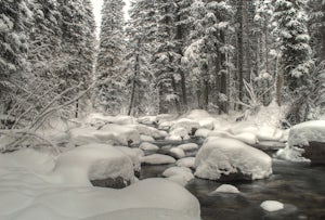 Explore Teton Creek along Sheep Bridge Trail