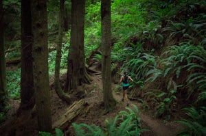 8 Reasons Why You Should Turn Your Next Hike into a Trail Run