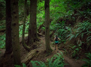 8 Reasons Why You Should Turn Your Next Hike into a Trail Run