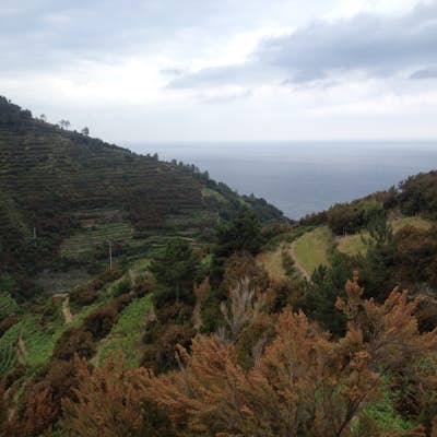 Hiking in Cinque Terre