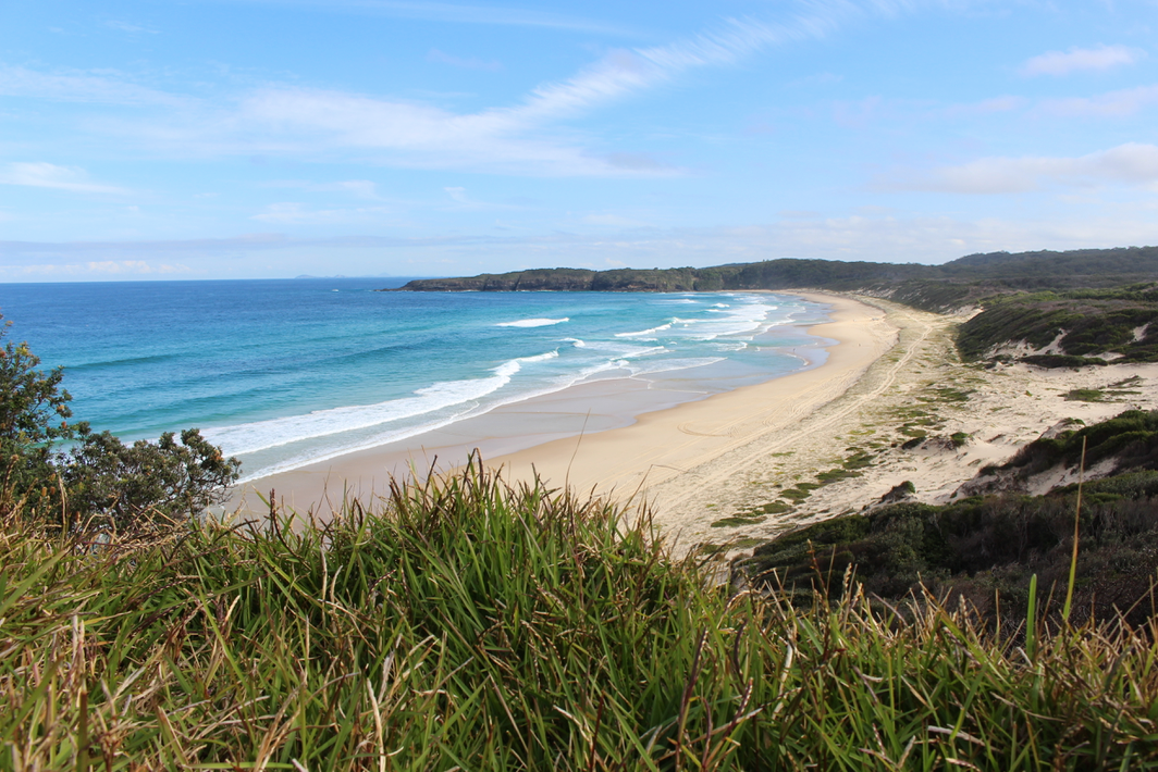 Camp and Surf in Seal Rocks, Seal Rocks, New South Wales