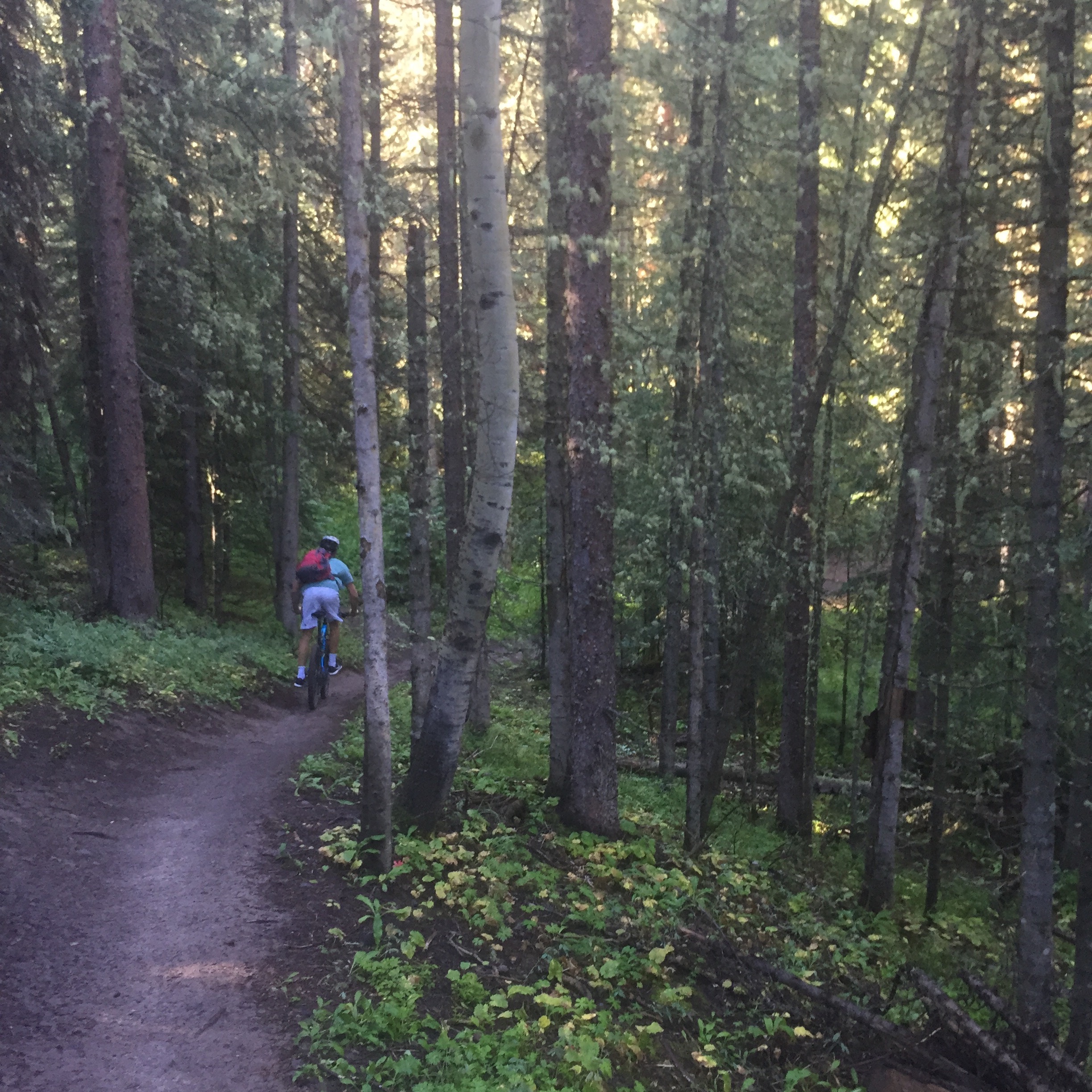 Mountain Bike Village Trail 