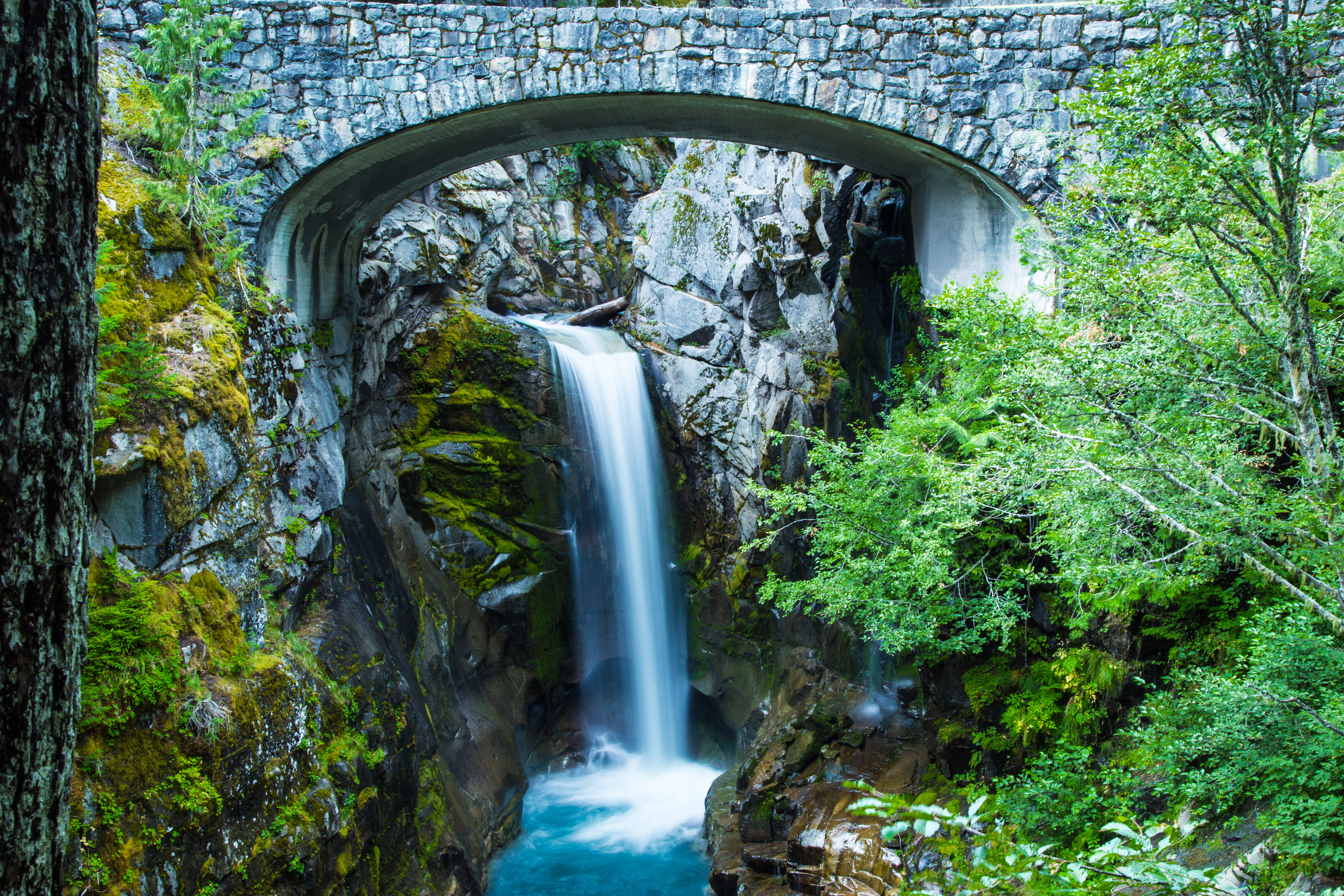 Christine Falls