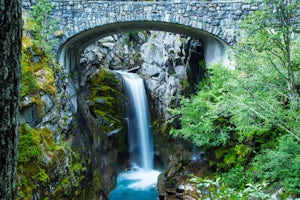 Explore Rainier's Christine and Narada Falls