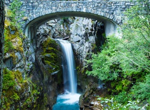 Explore Rainier's Christine and Narada Falls