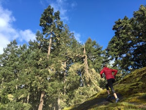 10 Tips For Running Your First Ultramarathon