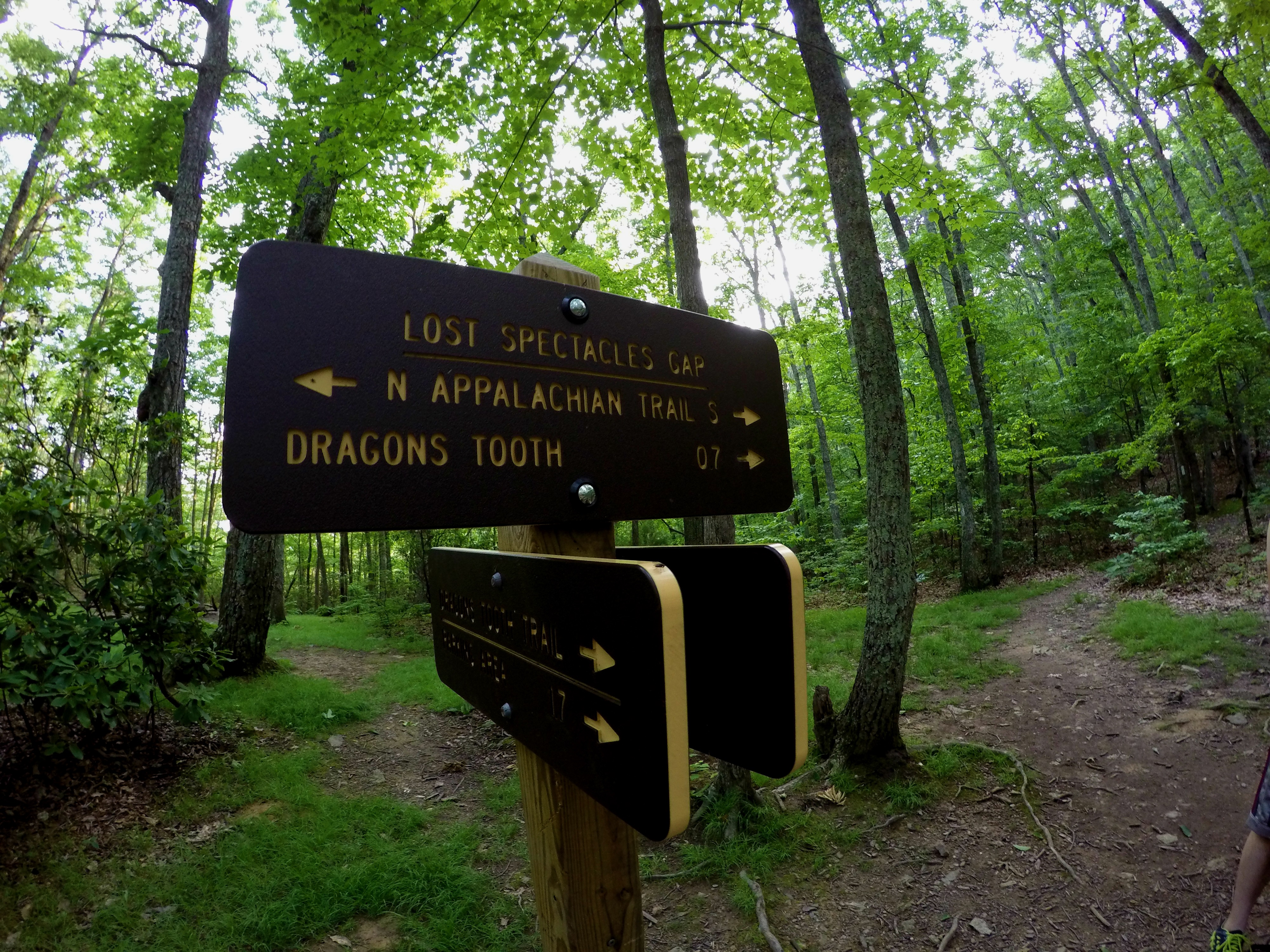 Dragon's Tooth Trail