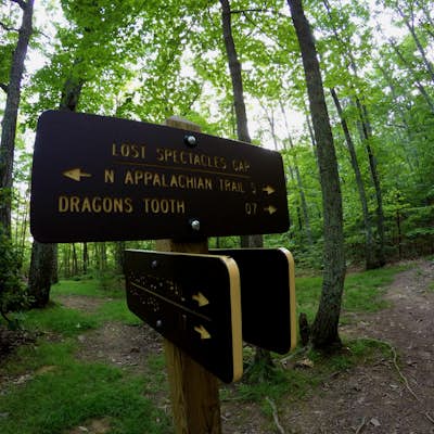Dragon's Tooth Trail