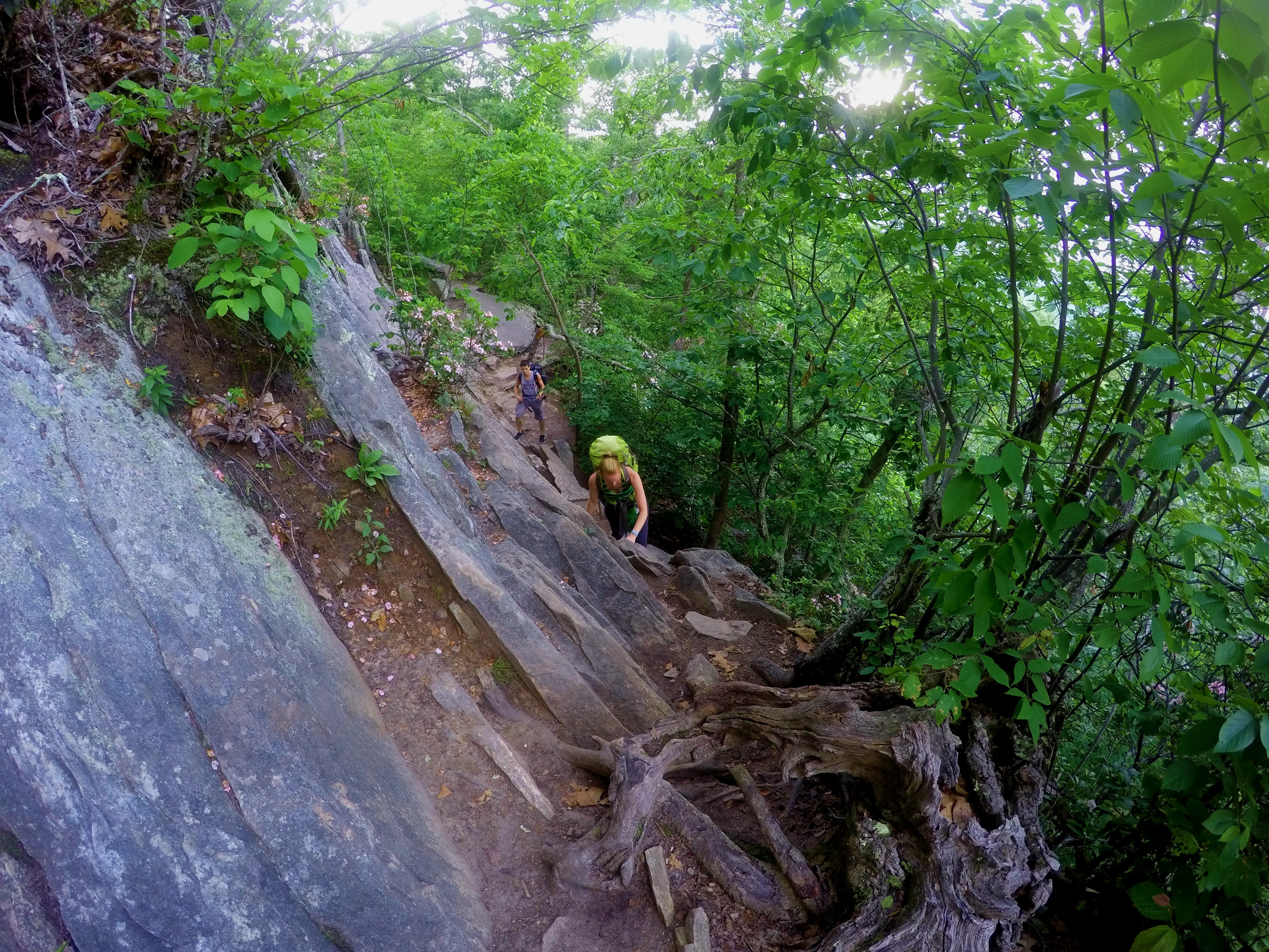 Dragon's Tooth Trail