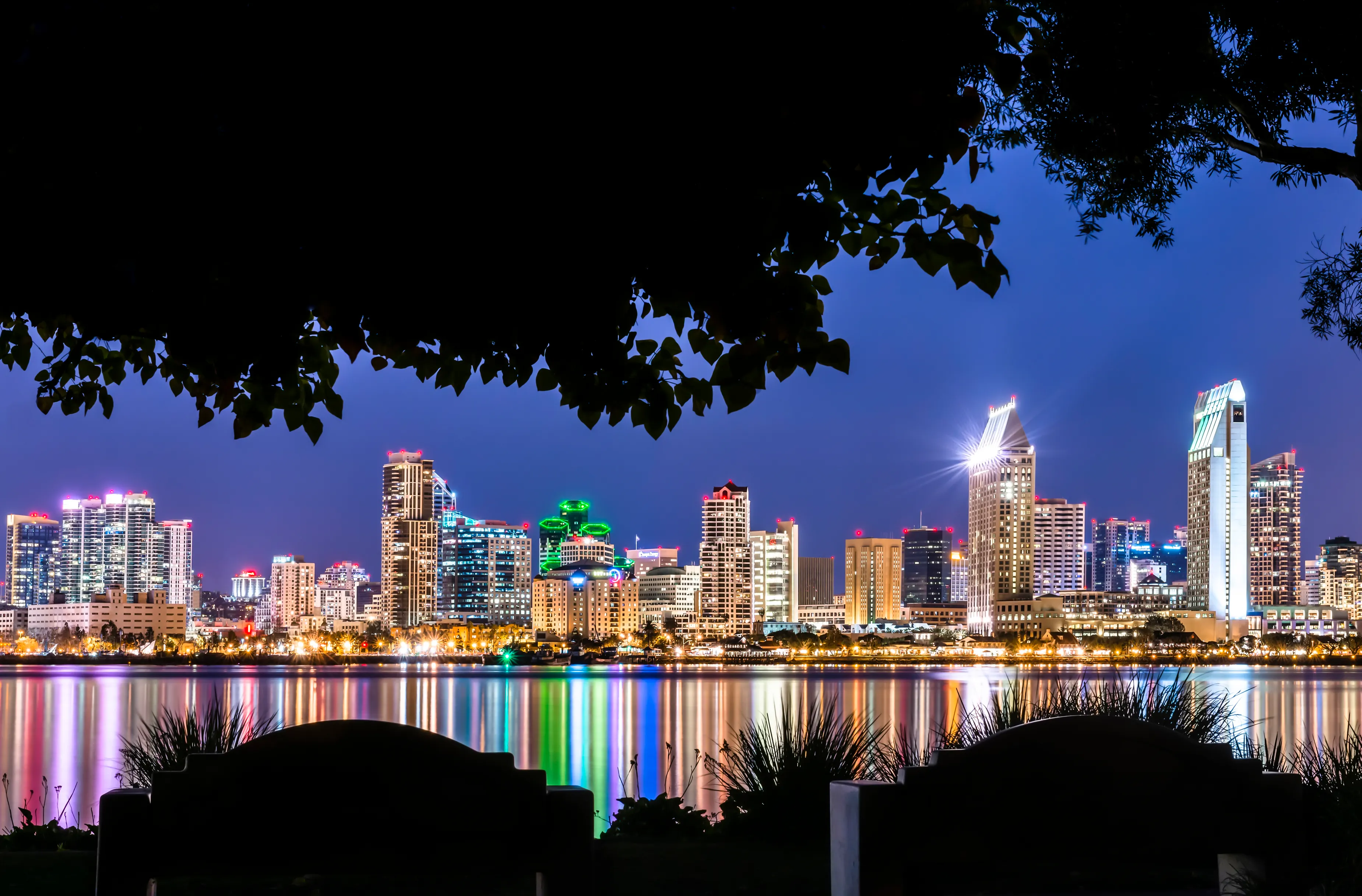 Explore Bayview Park
