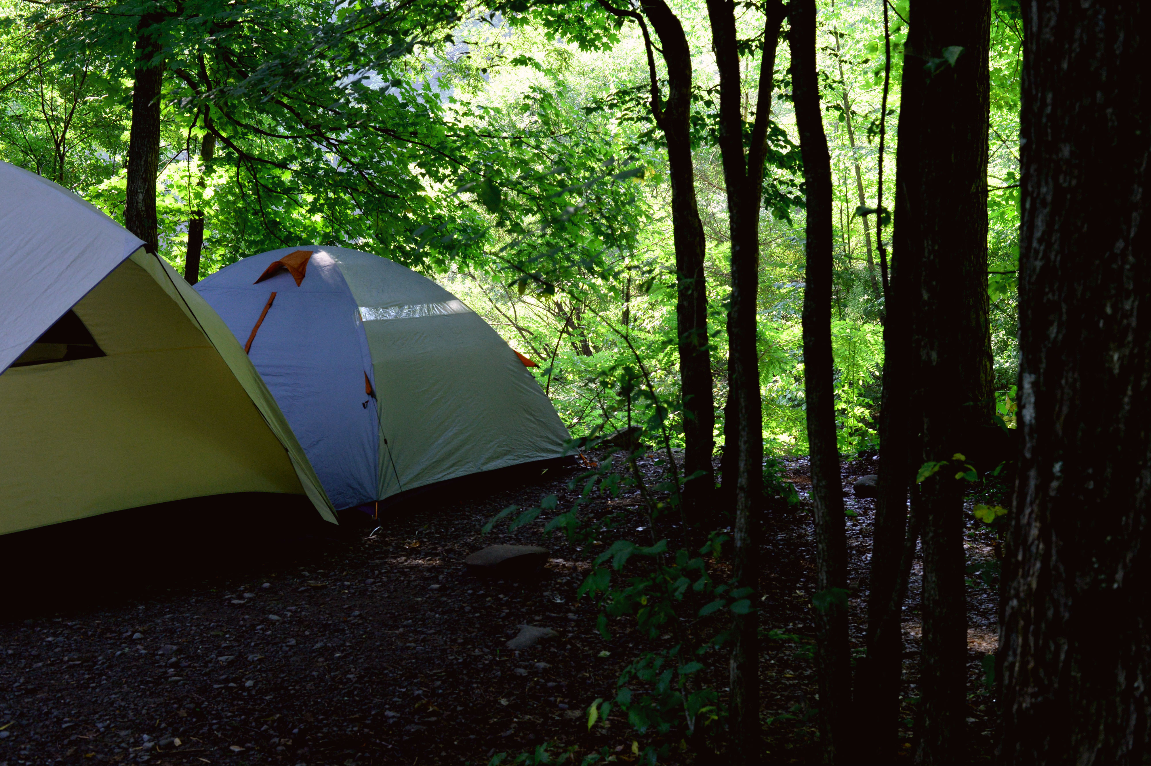 Camp at Woodland Valley