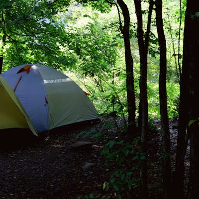 Camp at Woodland Valley