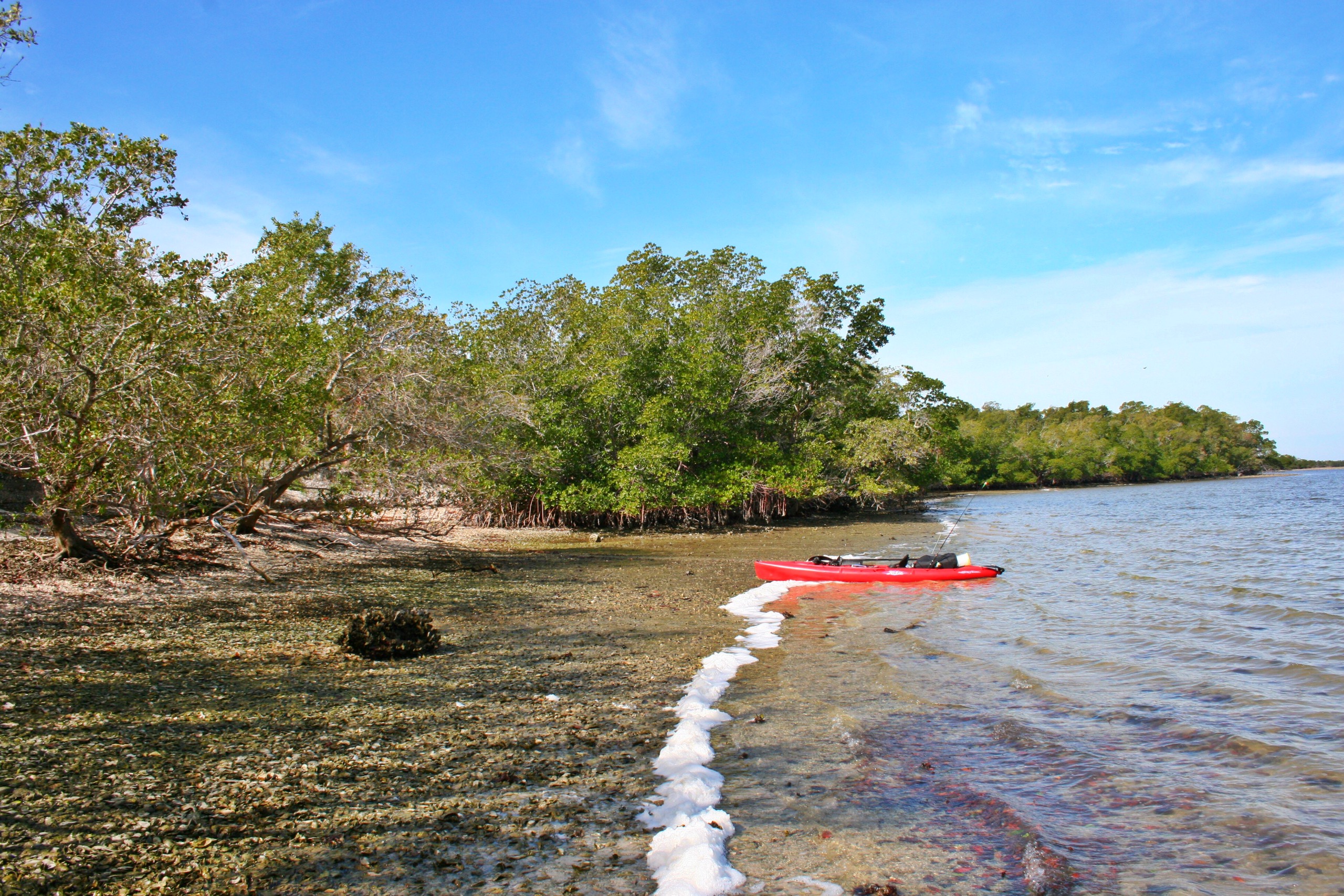 Camp on Fakahatchee Island