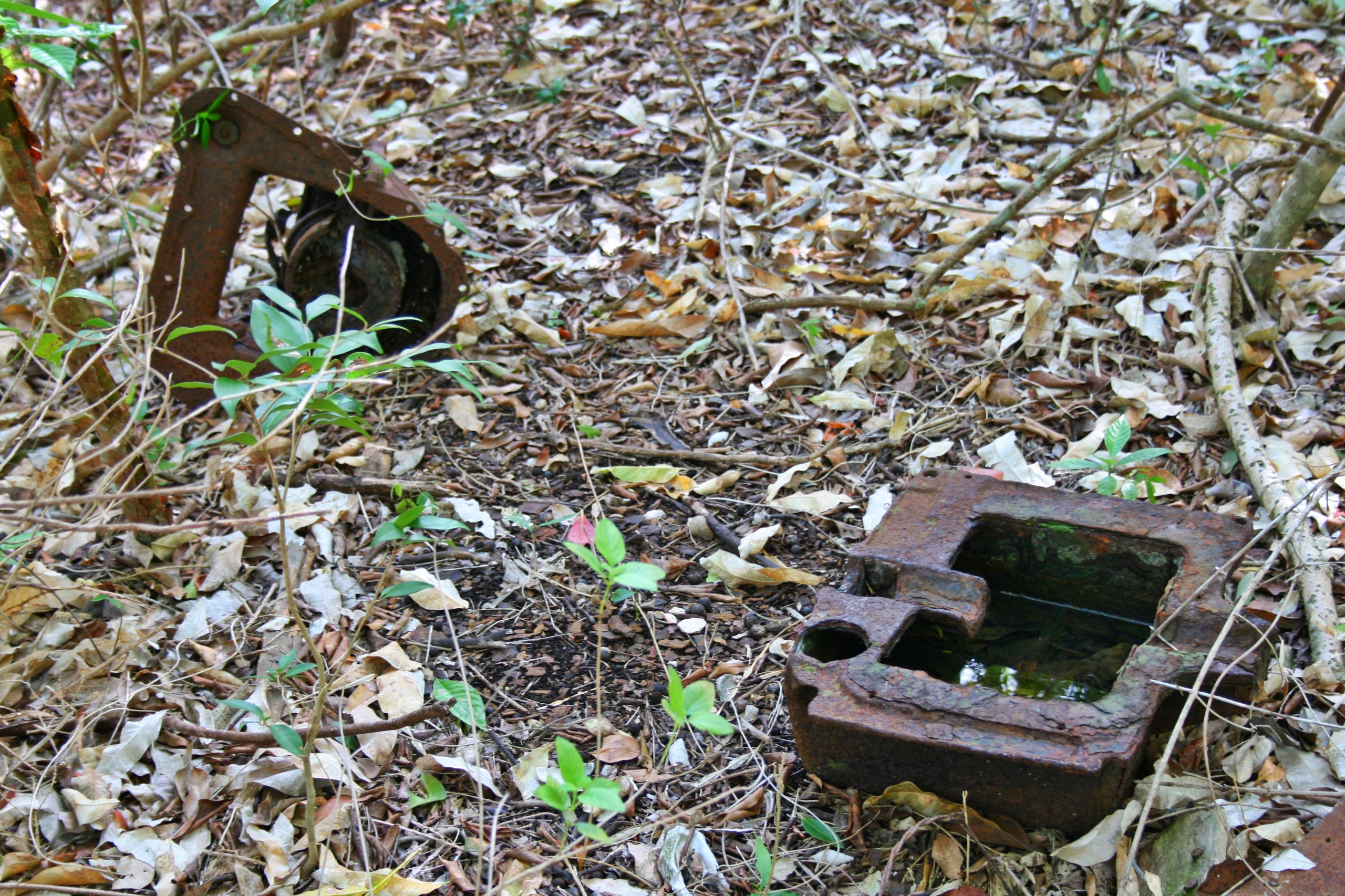 Camp on Fakahatchee Island
