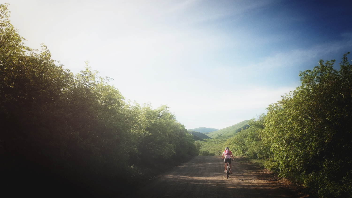 Mountain Bike Prince Creek