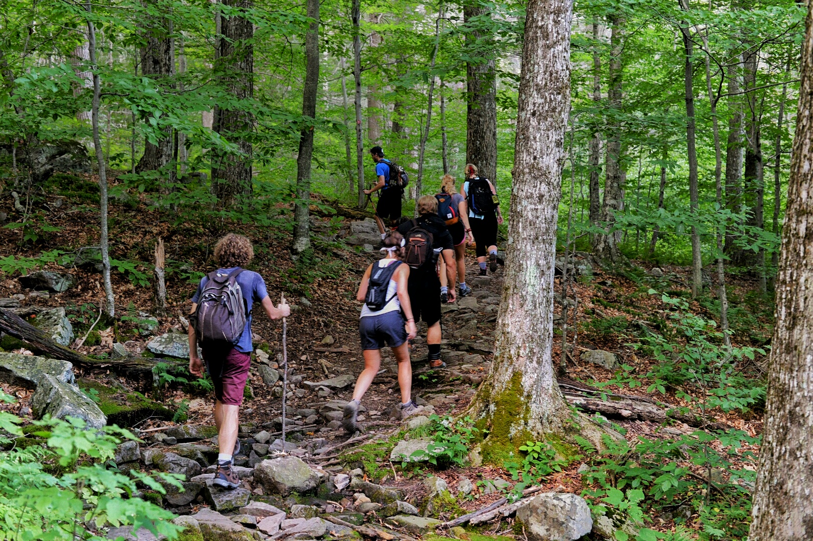 Mt. Wittenberg