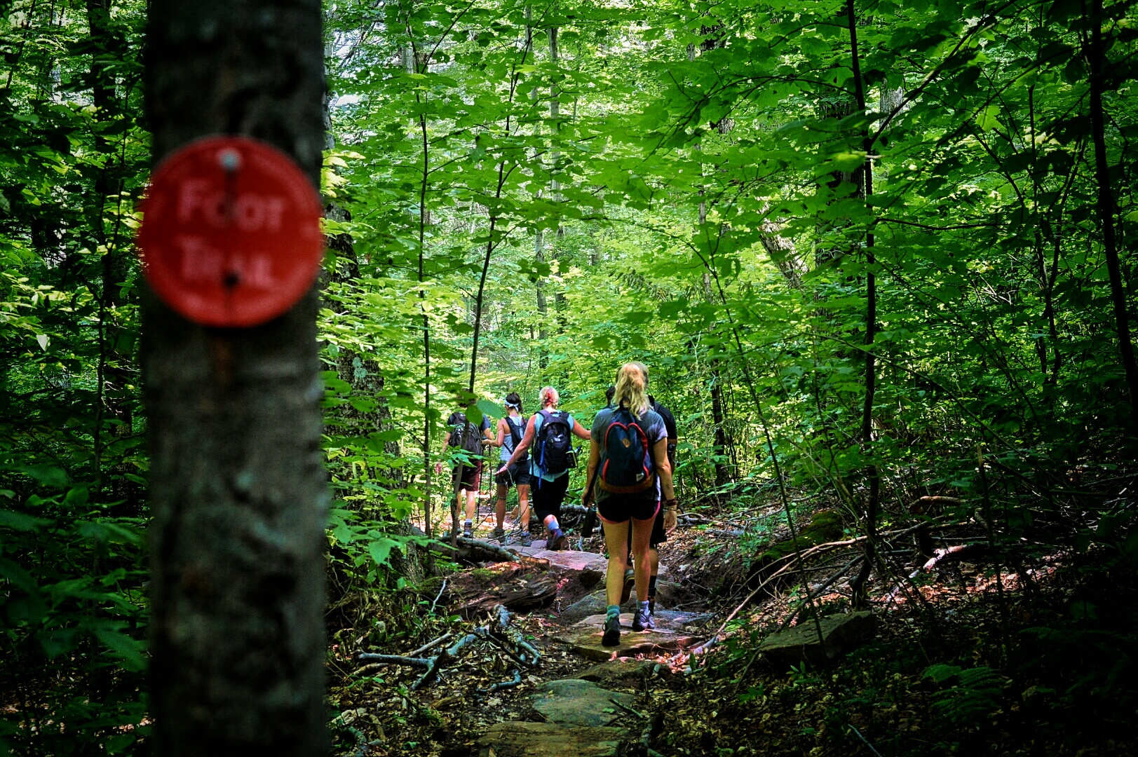 Mt. Wittenberg
