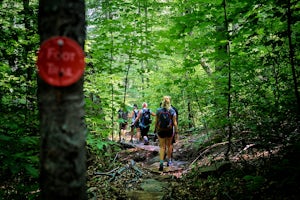 Hike Mt. Wittenberg
