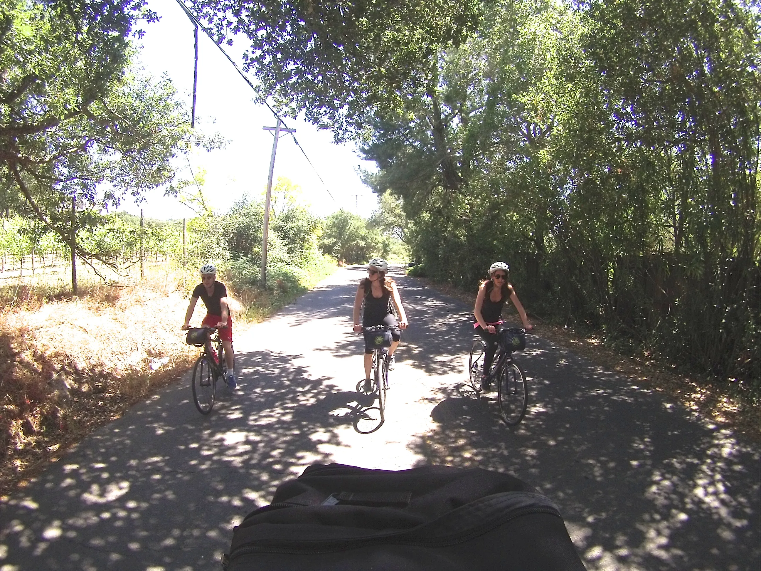 Sonoma Valley Wine Tour Bike Ride