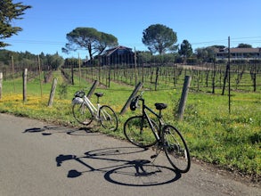 Sonoma Valley Wine Tour Bike Ride