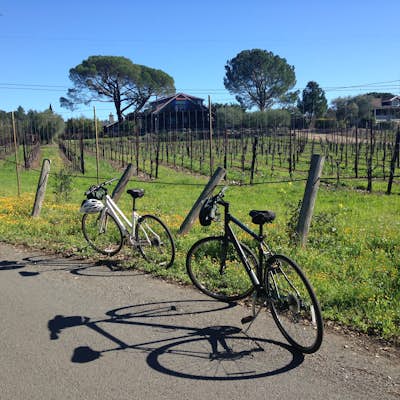 Sonoma Valley Wine Tour Bike Ride