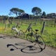 Sonoma Valley Wine Tour Bike Ride