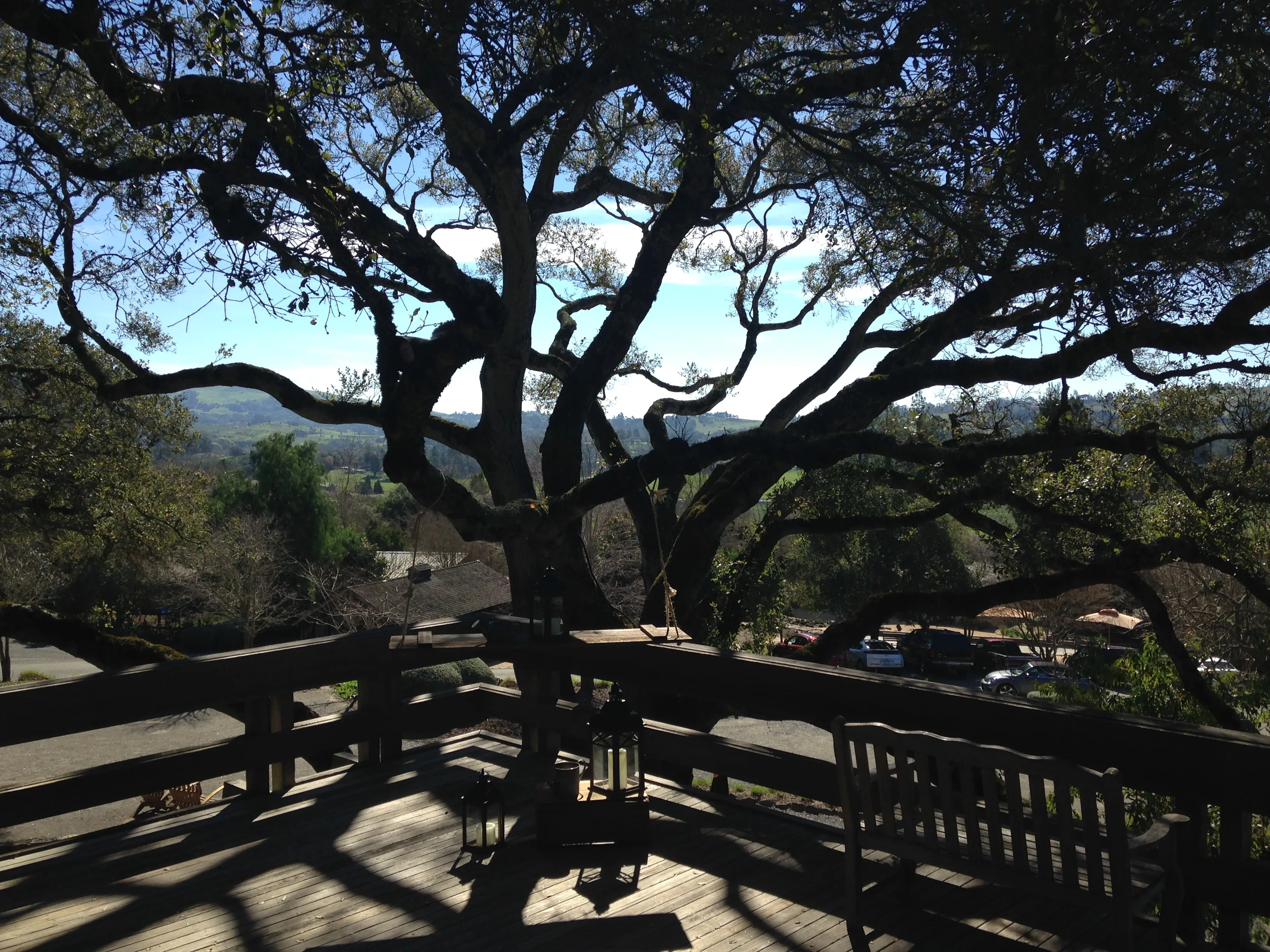 Sonoma Valley Wine Tour Bike Ride