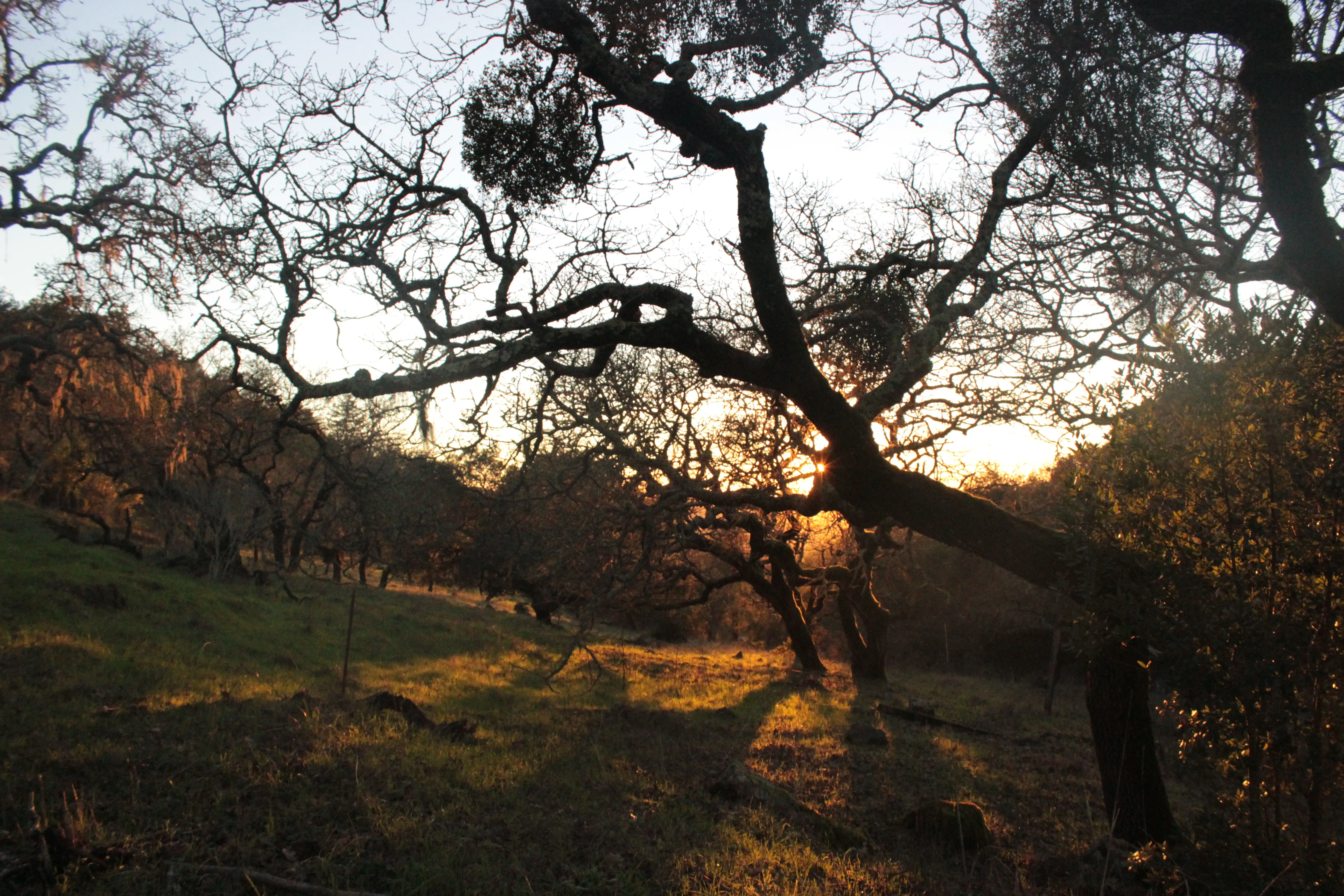 Sonoma Valley Wine Tour Bike Ride
