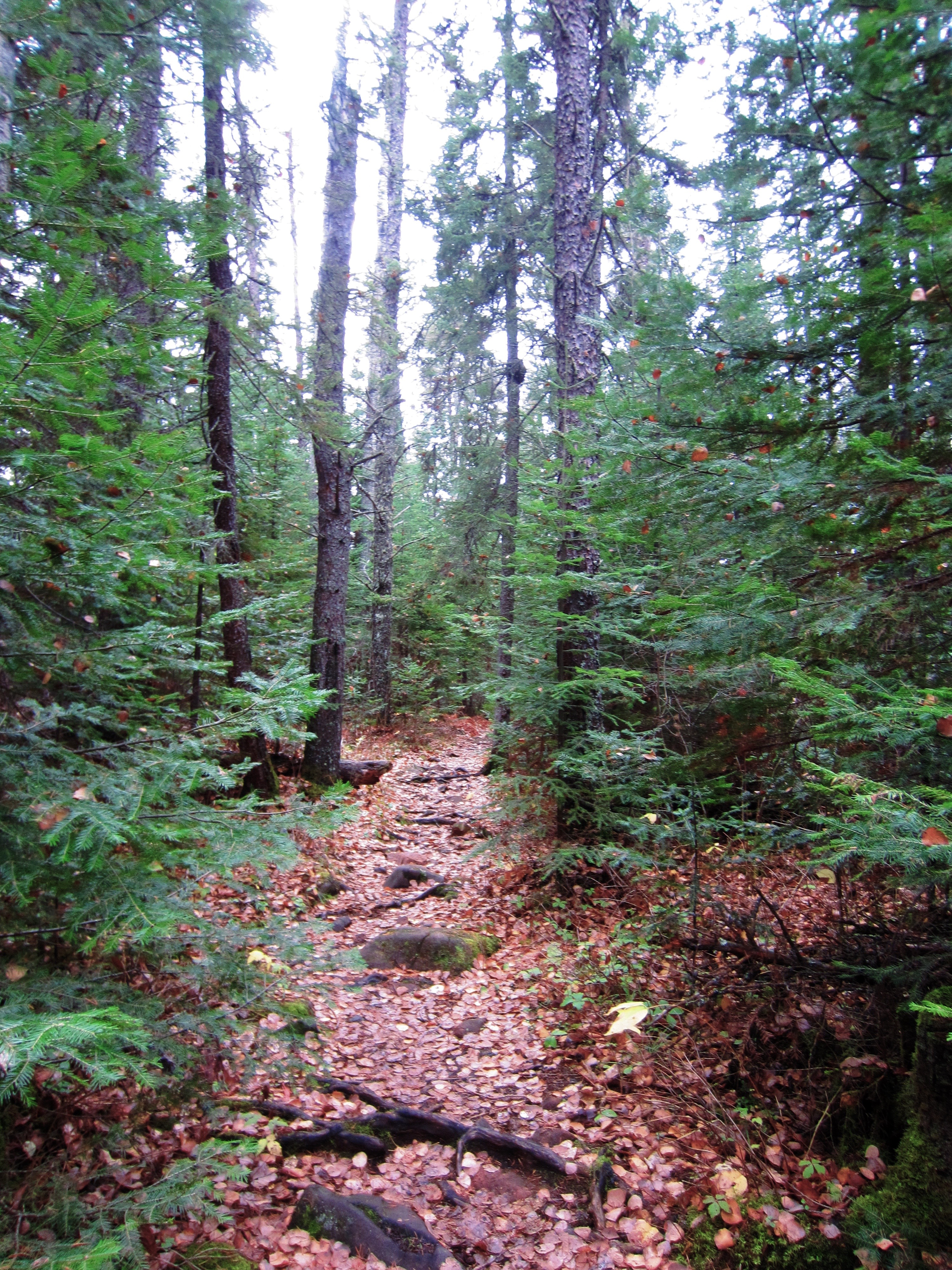 Hike Eagle Mountain