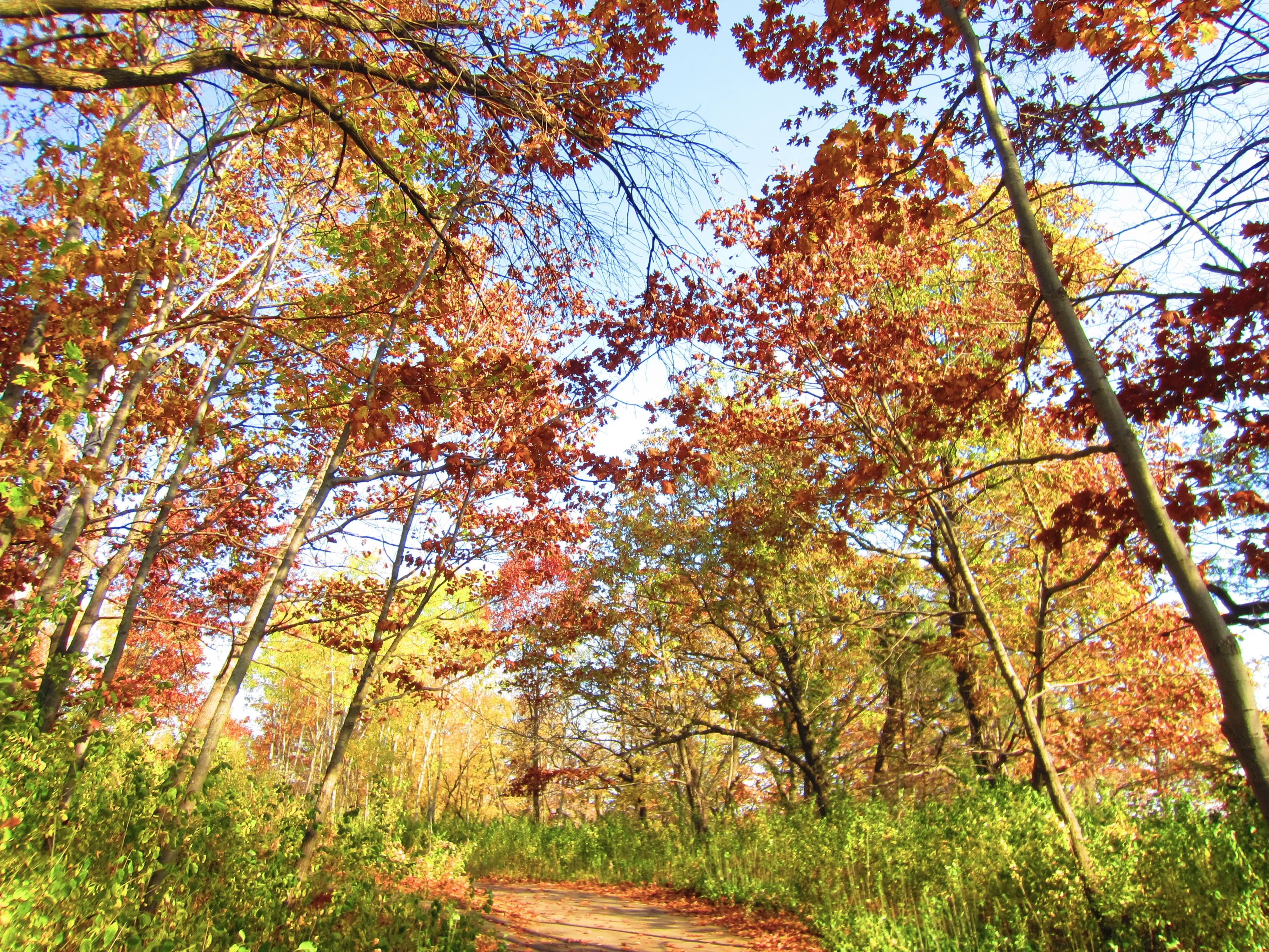 North River Trail Loop