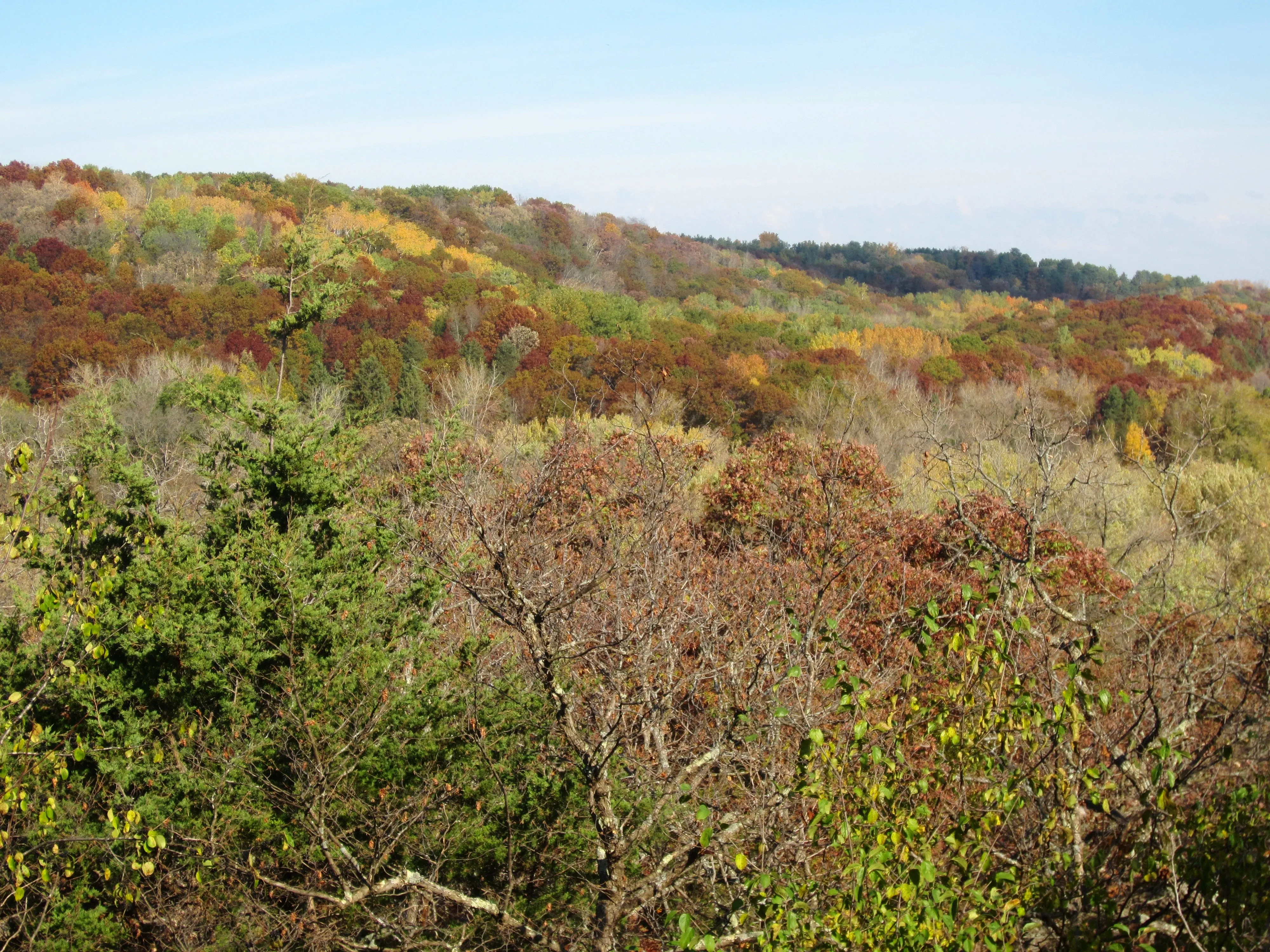 North River Trail Loop