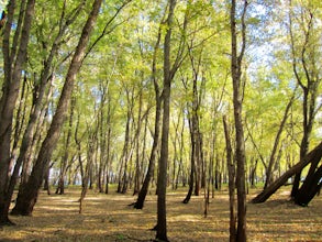 Hike the Afton State Park Trail