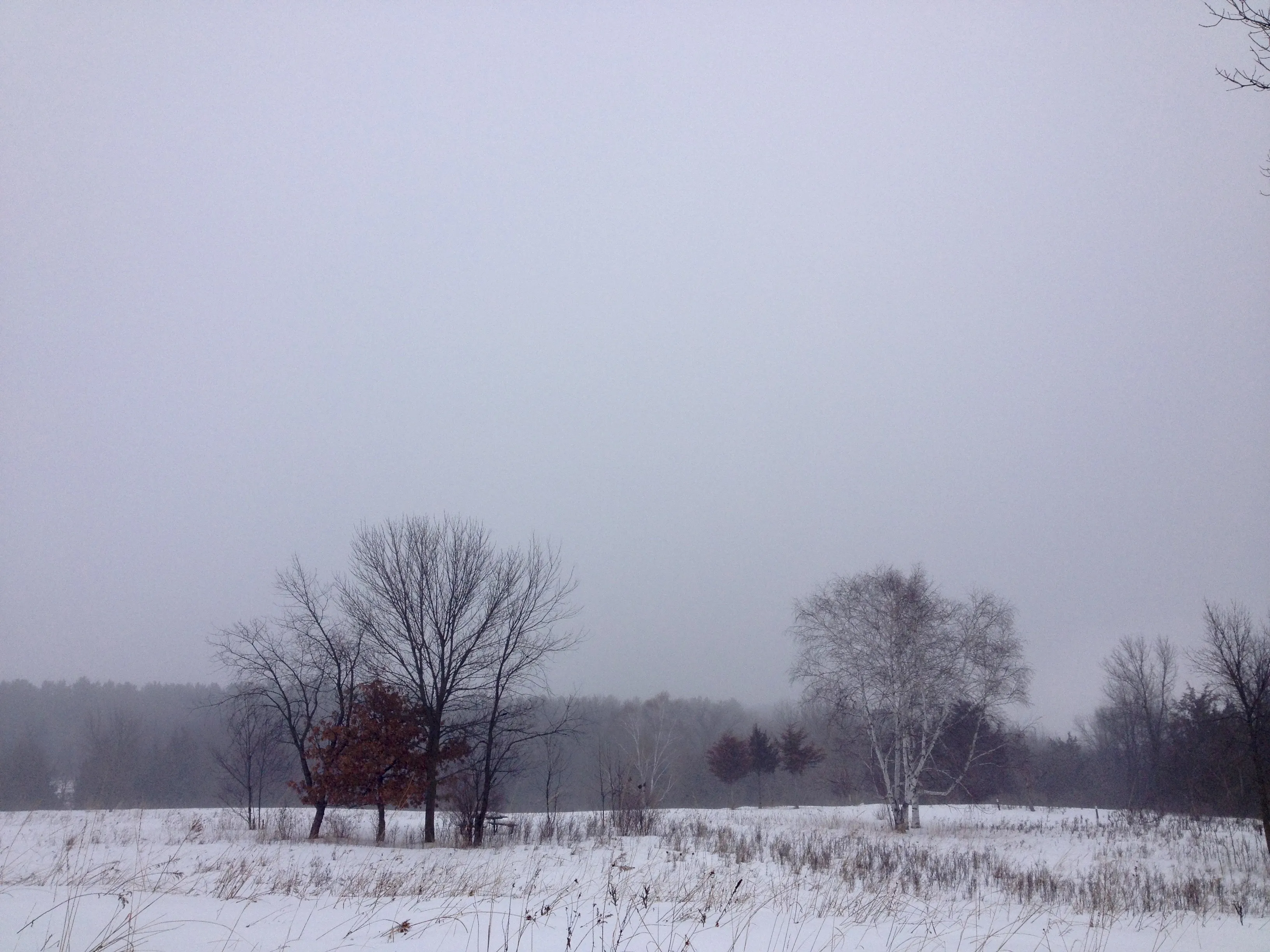 North River Trail Loop