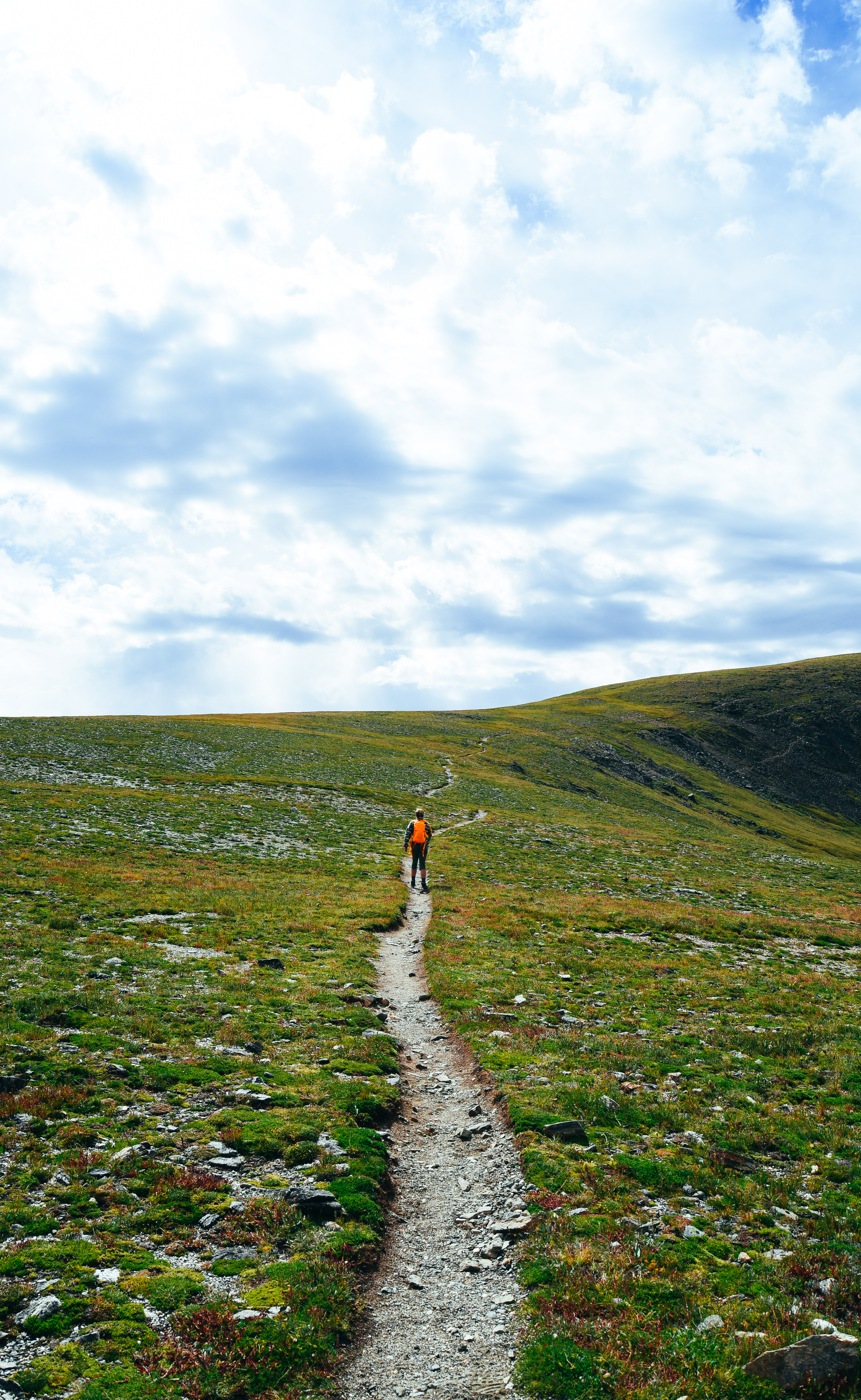 Mt. Ida via Milner Pass