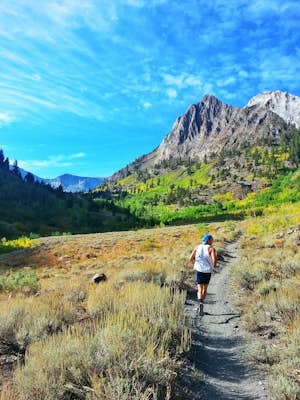 Run, Recover and Explore in Mammoth Lakes CA