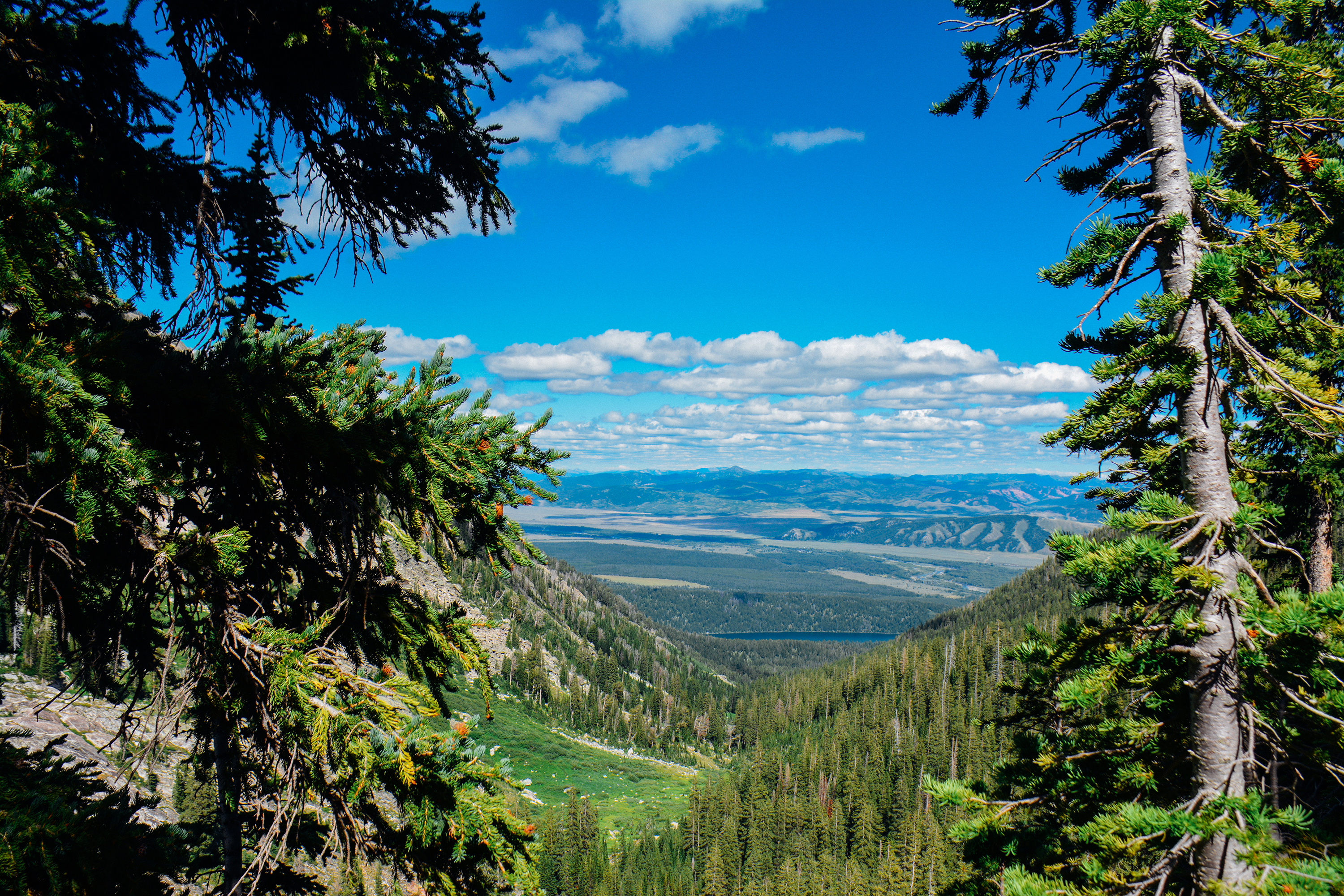Death Canyon to Fox Creek Pass