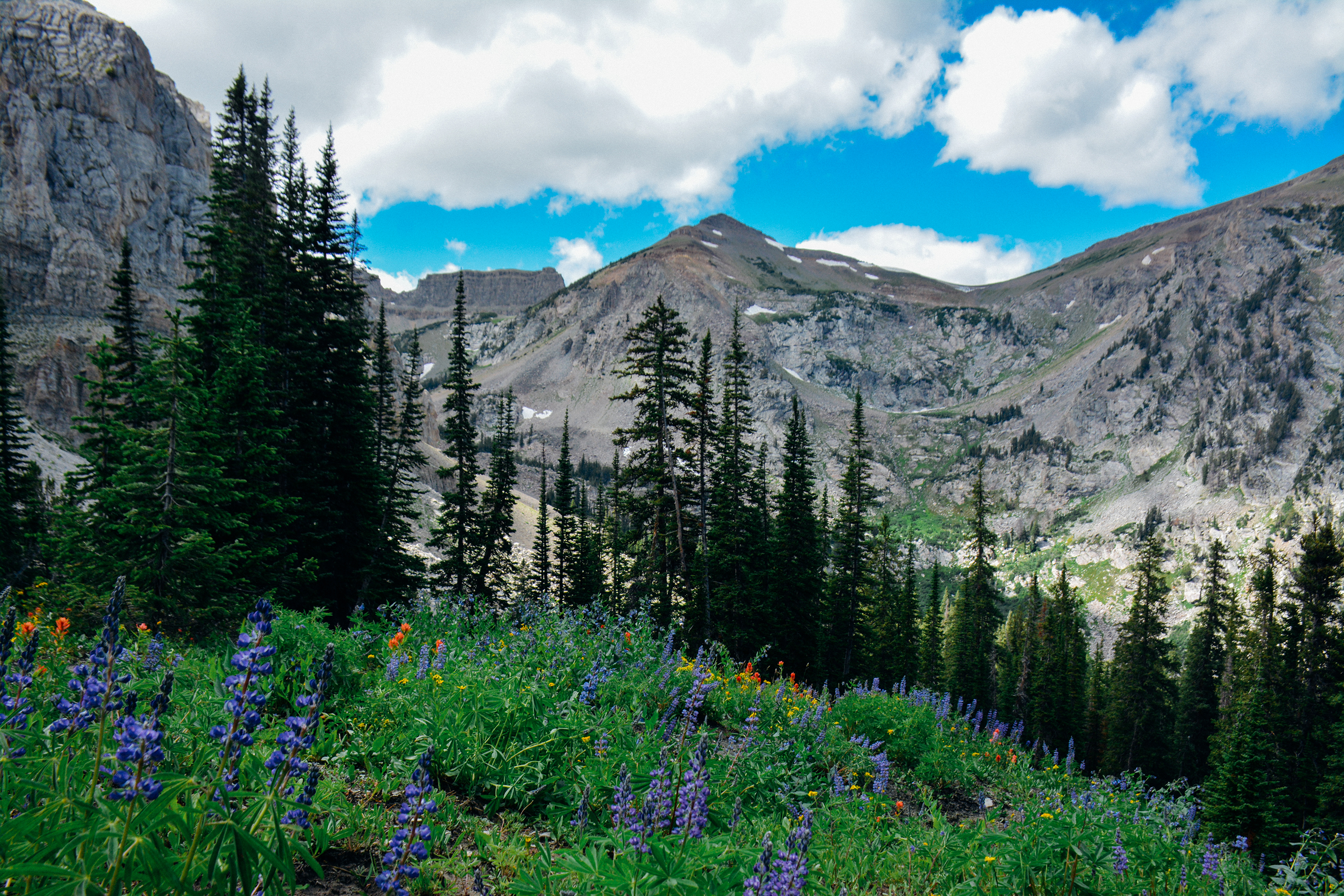 Death Canyon to Fox Creek Pass