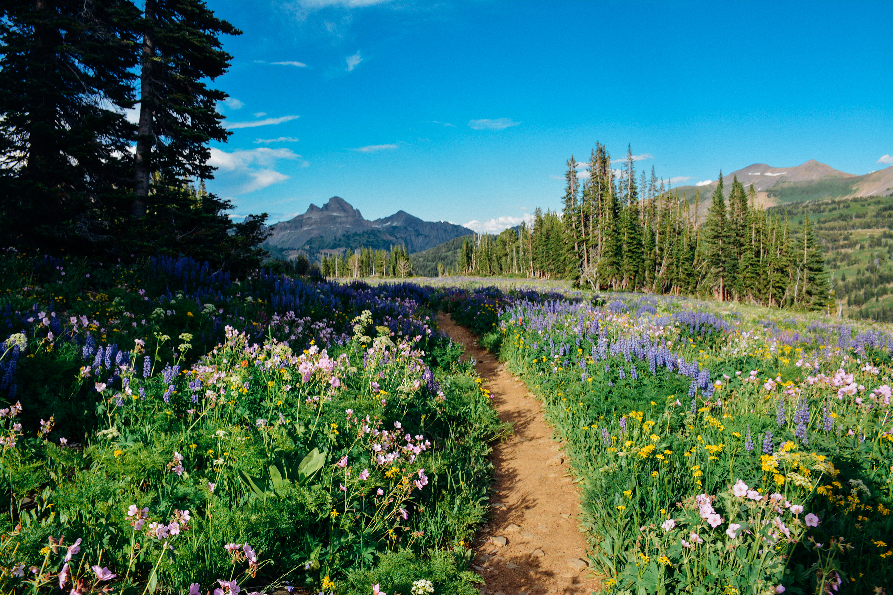 Death Canyon to Fox Creek Pass