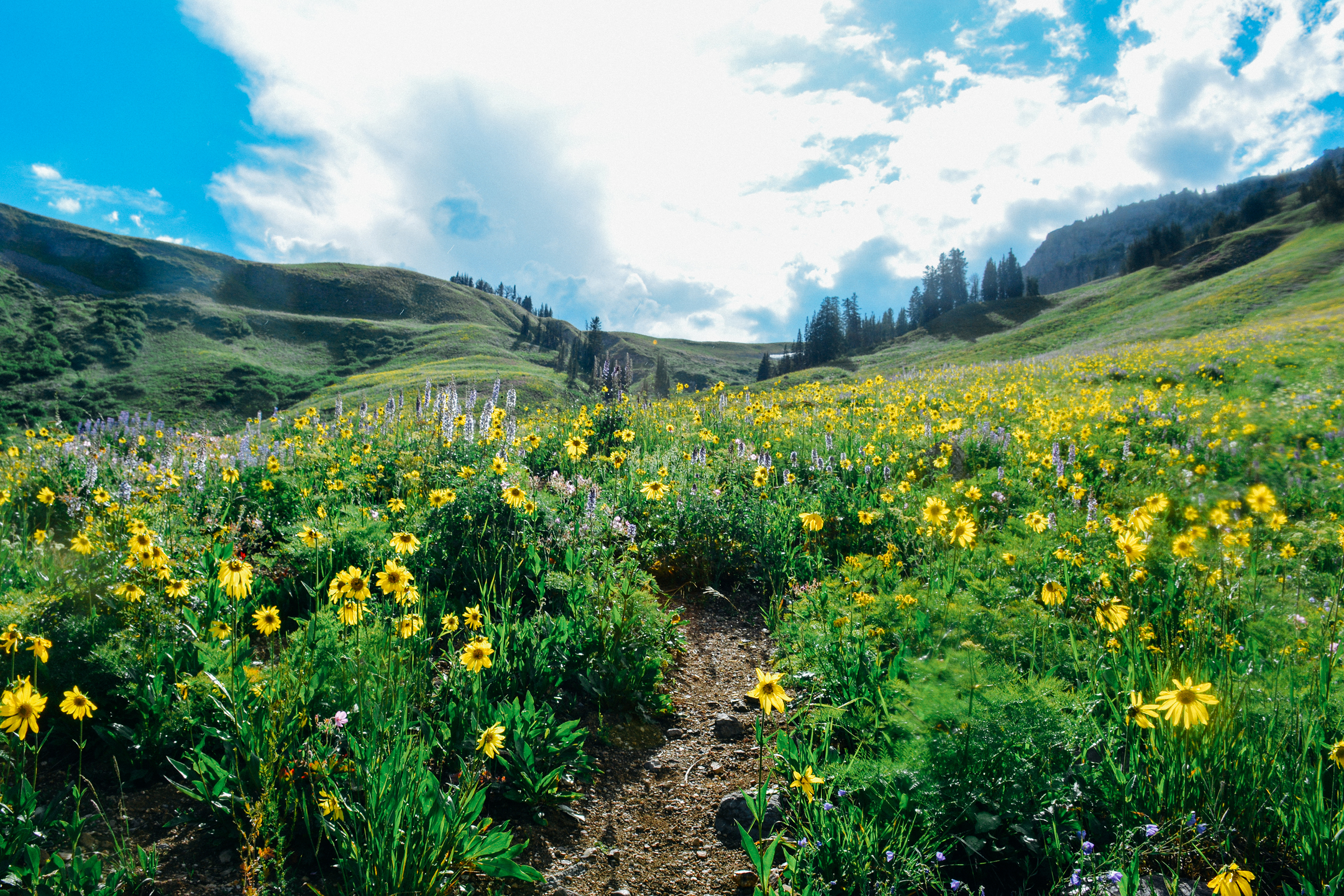Death Canyon to Fox Creek Pass