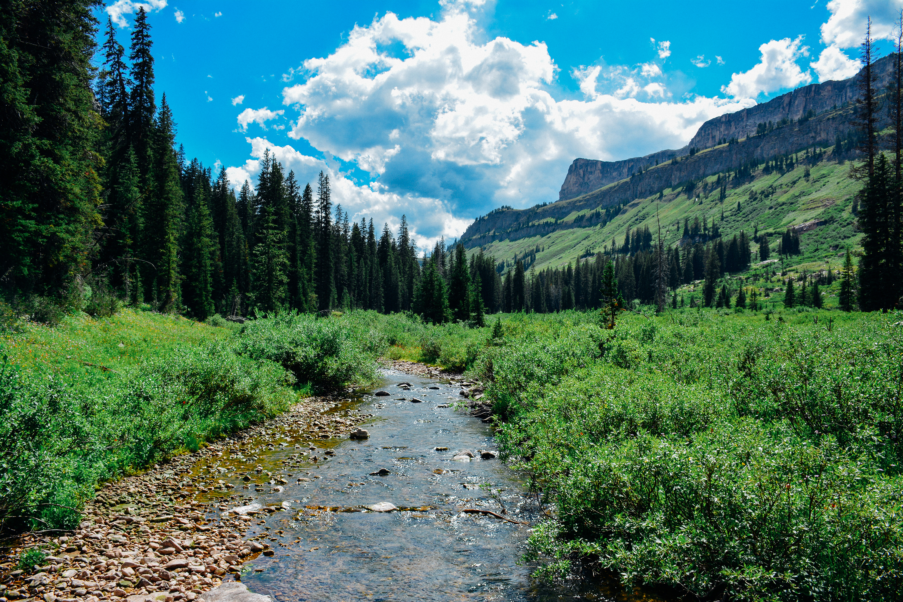 Death Canyon to Fox Creek Pass