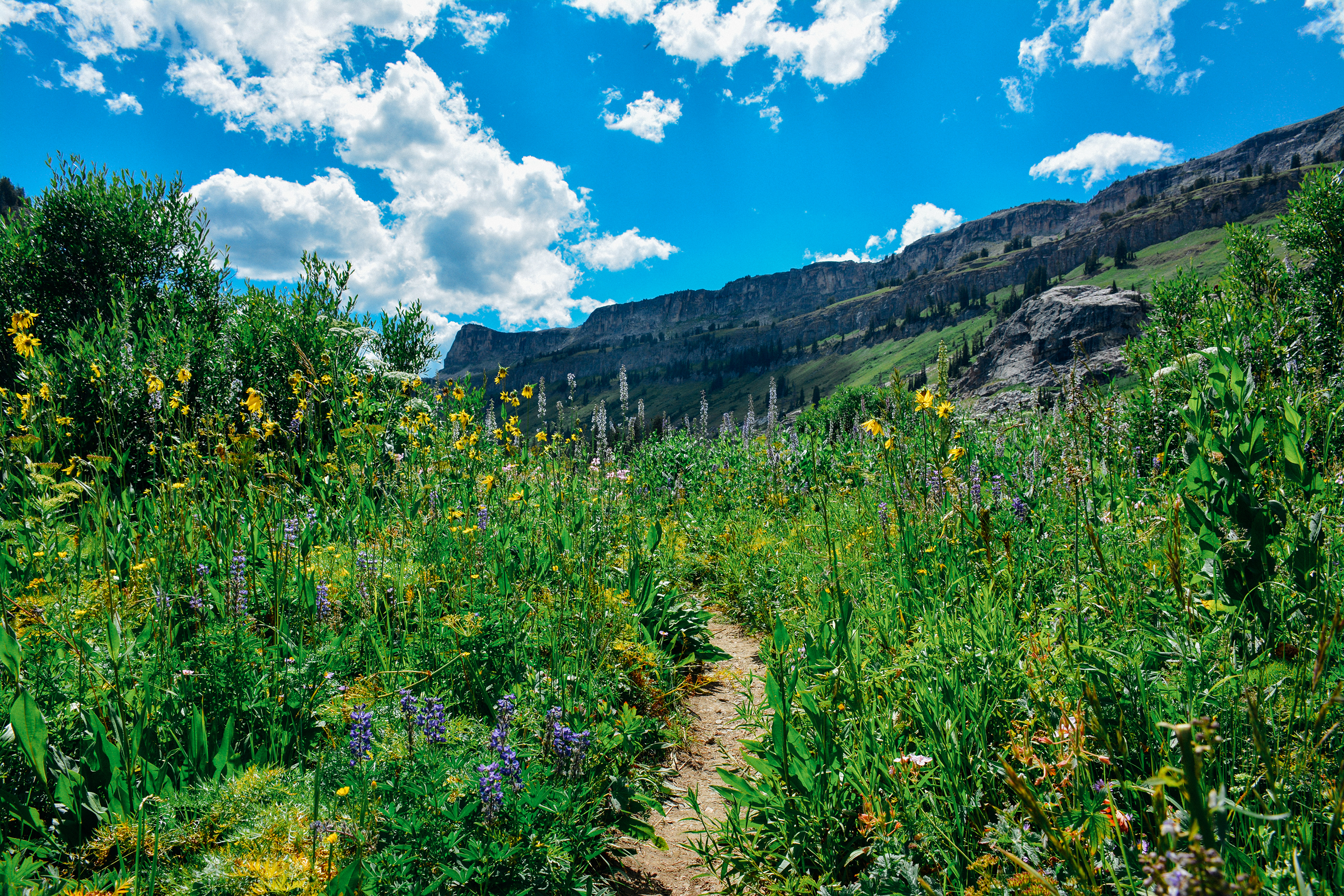 Death Canyon to Fox Creek Pass
